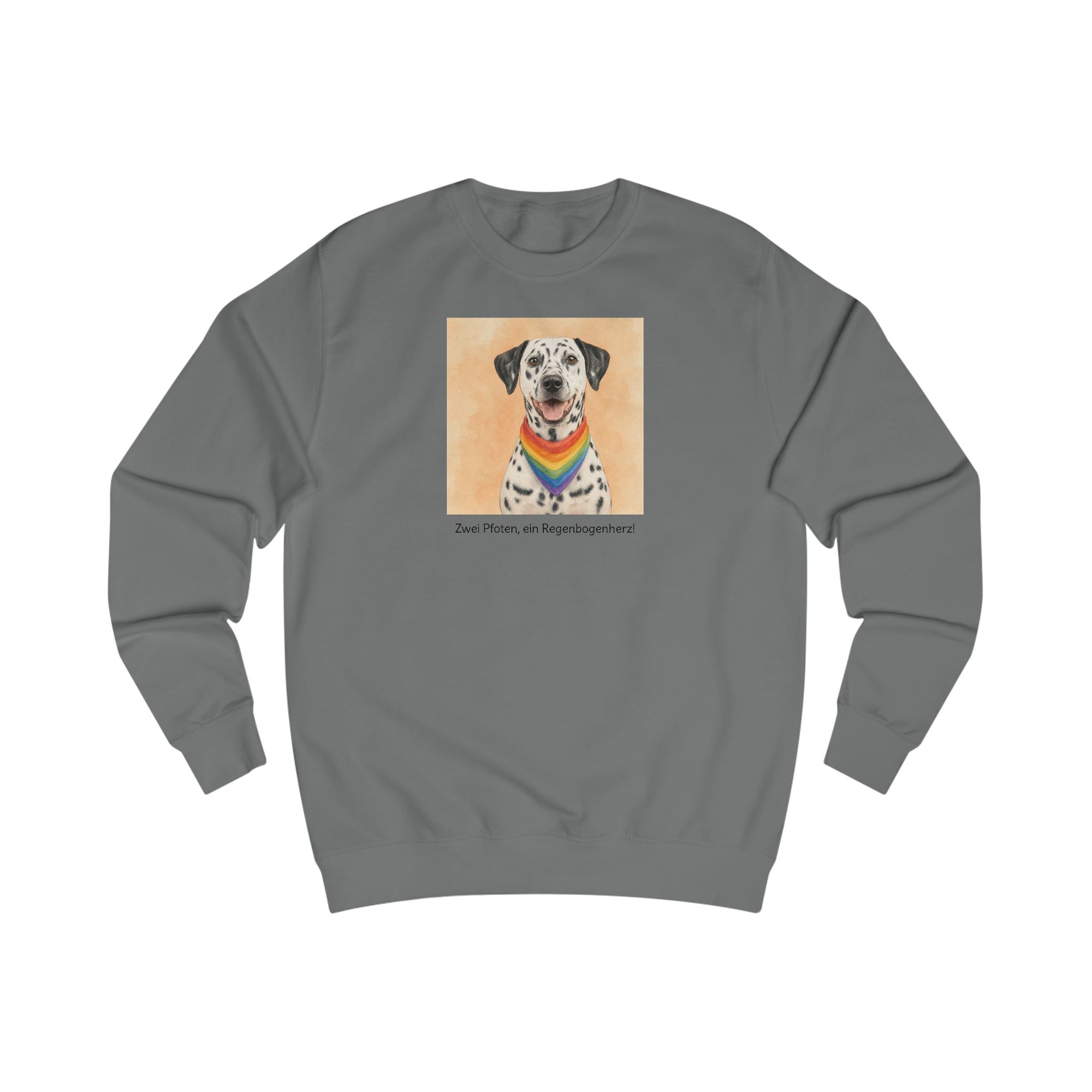 Personalisiertes Sweatshirt mit Haustier – Regenbogen