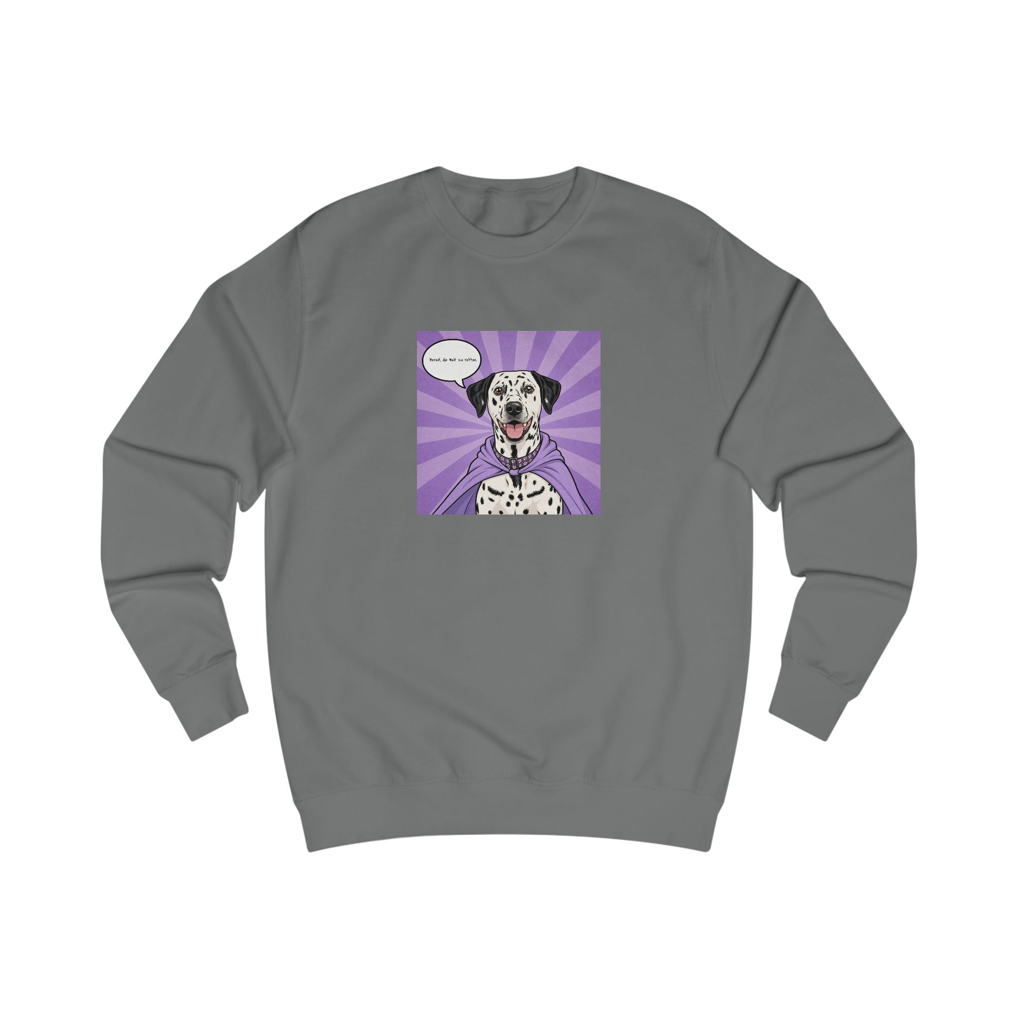 Personalisiertes Sweatshirt mit Haustier – Hero